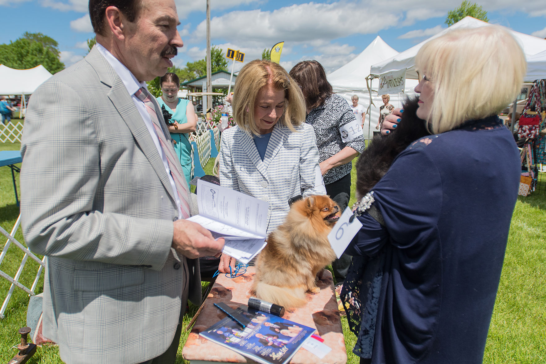 Dog Show 4